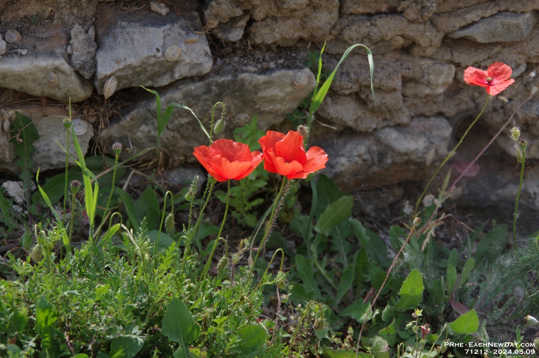 71212 - Footsteps of Paul - Exploring the ruins of Philippi